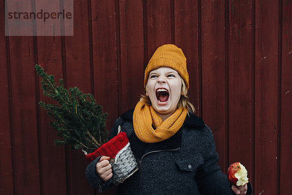 Lachender Junge vor einer Holzwand mit eingetopftem Weihnachtsbaum und kandiertem Apfel