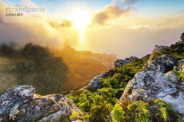 Afrika  Südafrika  Westkap  Kapstadt  Tafelberg