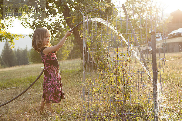 Mädchen im Kleid Bewässerungsbaum mit Schlauch im sonnigen  sommerlichen Hof