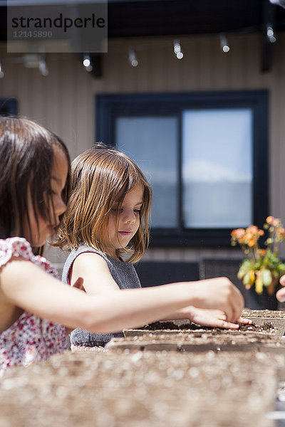 Mädchen pflanzen Setzlinge auf der Sonnenterrasse
