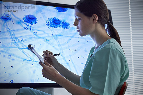 Krankenschwester mit Zwischenablage beim Betrachten eines vergrößerten Objektträgers auf dem Computerbildschirm
