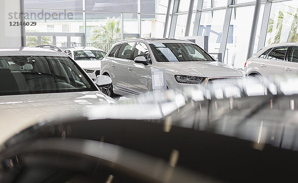 Neue  weiße Autos im Autohaus-Showroom