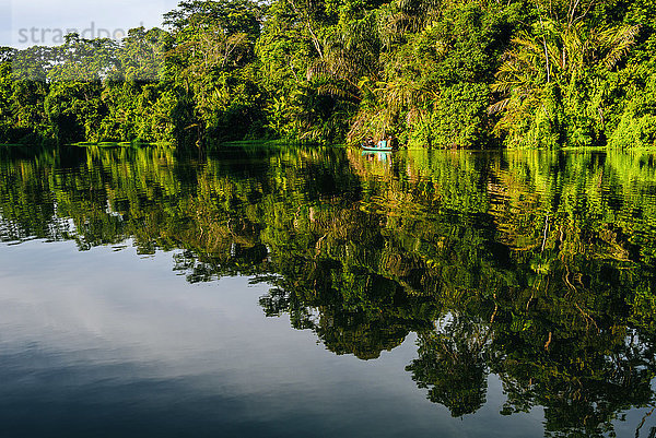 Costa Rica  Tortuguero  Landschaft mit Spiegelung in den Mangroven von Tortuguero