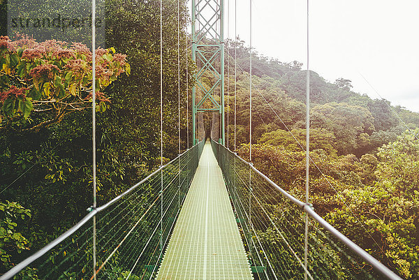 Costa Rica  Monte Verde  Hängebrücke im Wald von Monte Verde