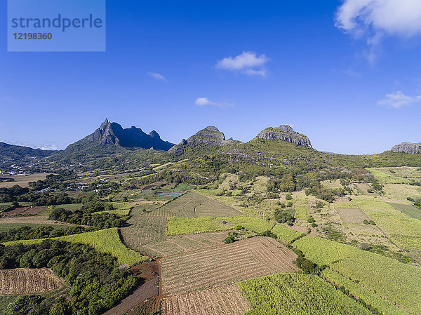 Mauritius  Highlands  Zuckerrohrfelder mit Mountain Pieter Beide links