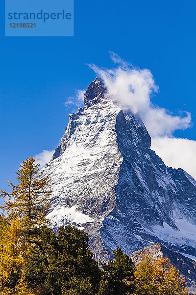 Schweiz  Wallis  Zermatt  Matterhorn  Bäume im Herbst