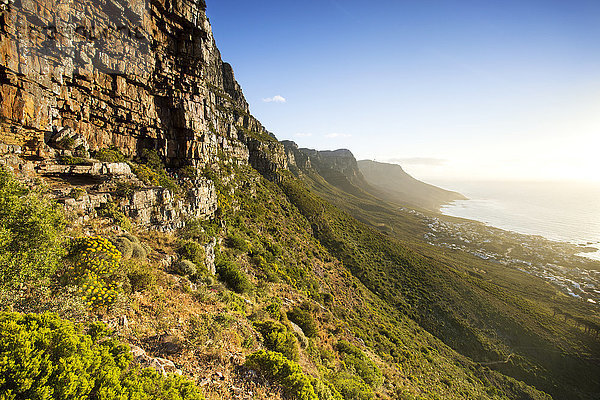 Afrika  Südafrika  Westkap  Kapstadt  Tafelberg