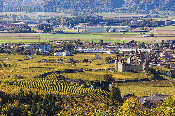 Schweiz  Kanton Waadt  Aigle  Weinberge und Schloss Aigle