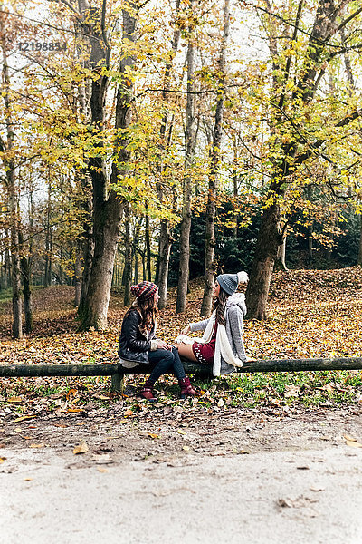 Zwei Frauen entspannen sich in einem herbstlichen Wald