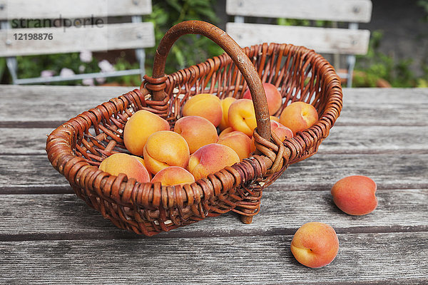Korb mit Aprikosen auf Gartentisch