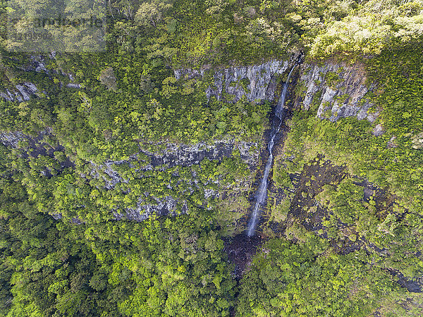 Mauritius  Black River Gorges National Park  Luftaufnahme des Wasserfalls