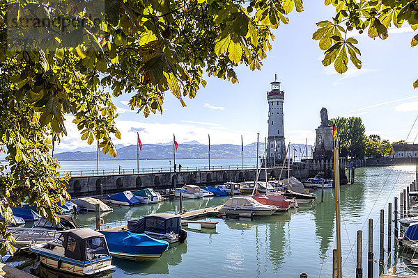 Deutschland  Lindau  Bodensee  Liegeplätze im Hafen