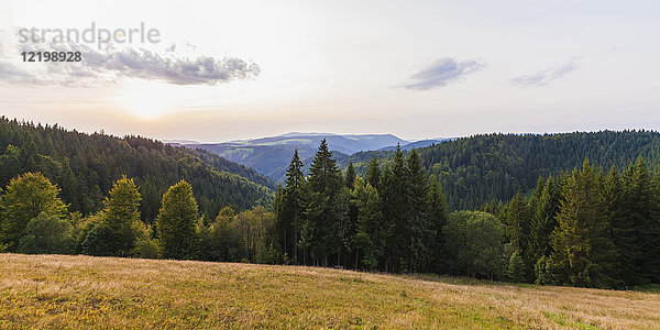 Deutschland  Baden-Württemberg  Schwarzwald  Landschaft bei St. Maergen