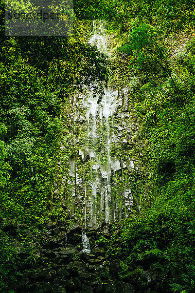 Costa Rica  Vulkan Arenal Nationalpark mit dem Wasserfall von La Fortuna