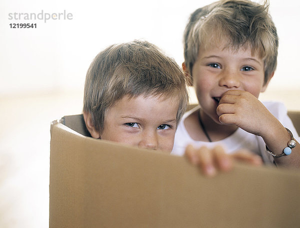 Zwei glückliche kleine Kinder zusammen in einem Pappkarton