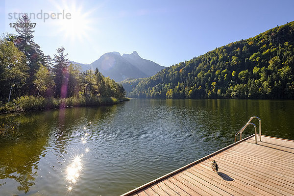 Deutschland  Bayern  Allgäu  Schwansee bei Schwangau