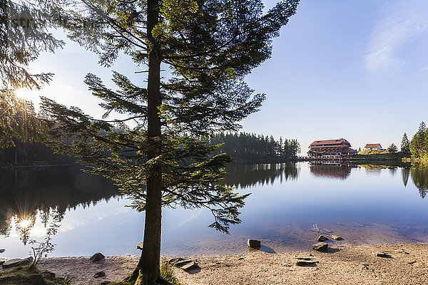 Deutschland  Baden-Württemberg  Schwarzwald  Mummelsee