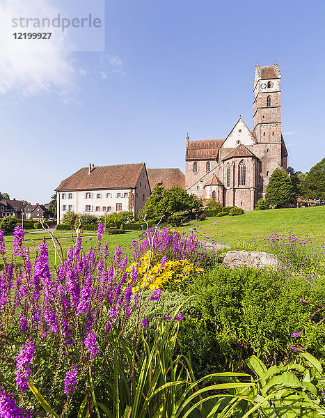 Deutschland  Baden-Württemberg  Schwarzwald  Klosterkirche Alpirsbach