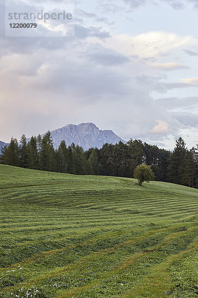 Österreich  Tirol  Mieming Plateau  gemähte Wiese nach Sonnenuntergang