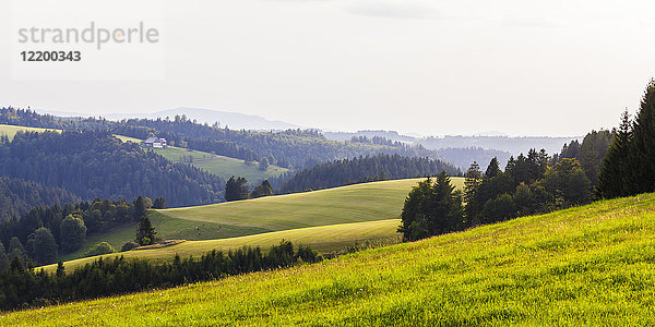 Deutschland  Baden-Württemberg  Schwarzwald  Felder und Wald mit Bauernhaus im Hintergrund