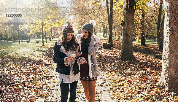 Zwei Frauen mit Handy im Herbstwald unterwegs
