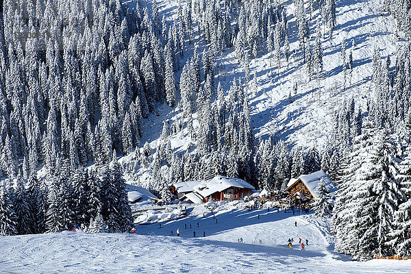Österreich  Tirol  Zillertal  Hochfuegen  Skigebiet  Montana Alp  Aar Alp