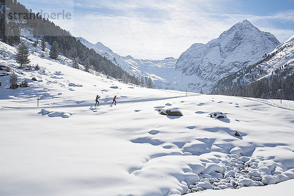 Österreich  Tirol  Lüsens  Sellrain  zwei Langläufer in verschneiter Landschaft