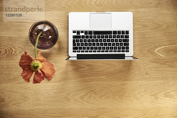 Laptop und Mohn in Blumenvase auf Holz  Draufsicht