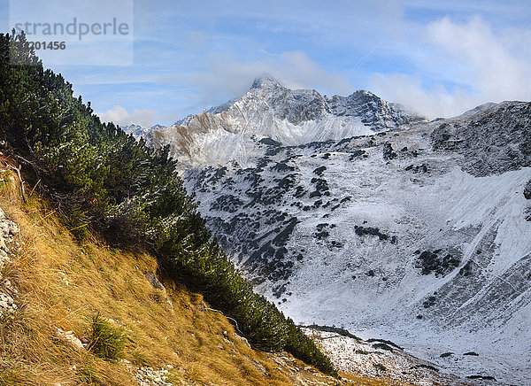 Deutschland  Bayern  Allgäu  Allgäuer Alpen  Oberstdorf  Rubihorn  Entschenkopf  Geissalp-Tal