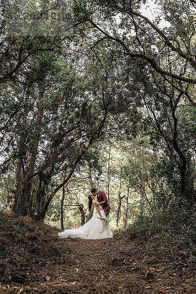 Braut und Bräutigam küssen leidenschaftlich unter großen Bäumen im Wald