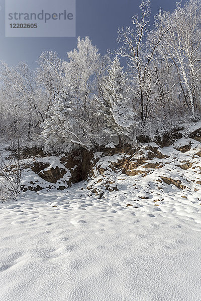 Russland  Oblast Amur  schneebedeckte Natur