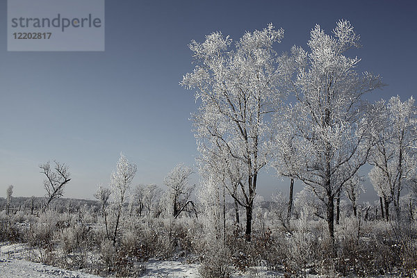 Russland  Gebiet Amur  Landschaft im Winter