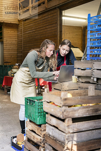 Zwei Frauen benutzen Laptop zwischen Kisten auf einem Bauernhof