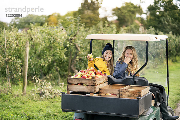 Zwei Frauen mit Fahrzeug bei der Apfelernte im Obstgarten