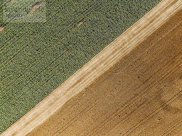 Serbien  Vojvodina  landwirtschaftliche Felder  Luftbild in der Sommersaison