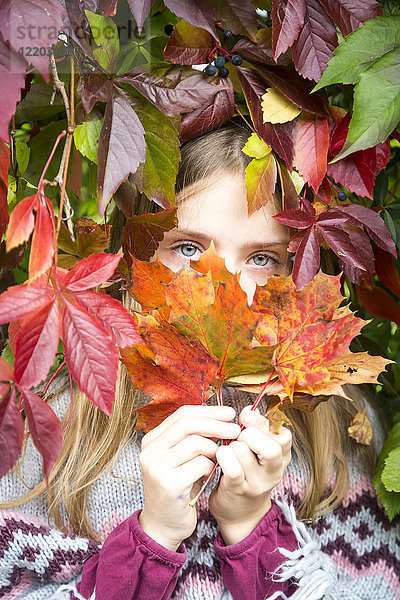 Porträt eines glücklichen Mädchens  das sich hinter Herbstblättern versteckt.