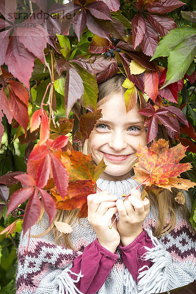 Porträt eines glücklichen Mädchens  das sich hinter Herbstblättern versteckt.