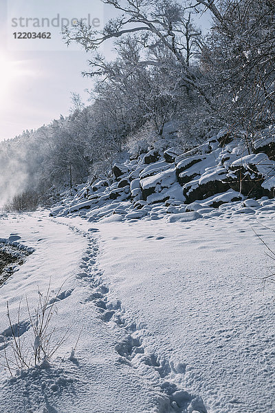Russland  Gebiet Amur  Fußspuren in der verschneiten Natur