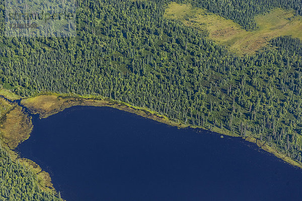 USA  Alaska  Talkeetna: Luftaufnahme der Fluss- und Waldlandschaft