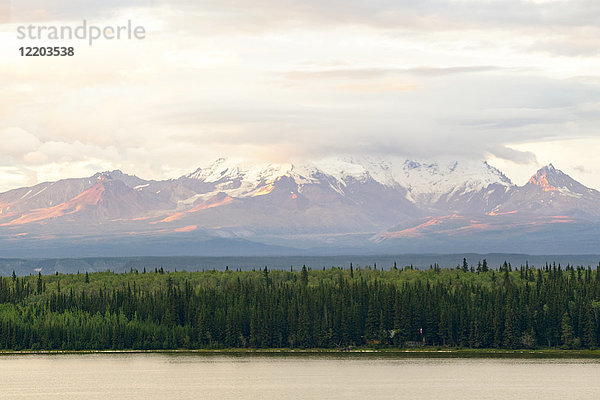 USA  Alaska  Wrangelgebirge  Wrangell-St.-Elias-Nationalpark. Blick vom Willow Lake