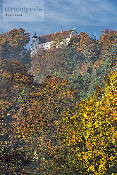 Deutschland  Baden-Württemberg  Bodman  Herbstwald auf Schloss Frauenberg