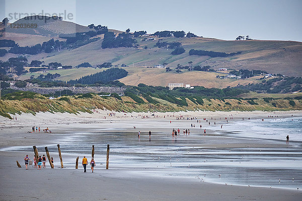 Neuseeland  Südinsel  Dunedin  St. Clair Beach