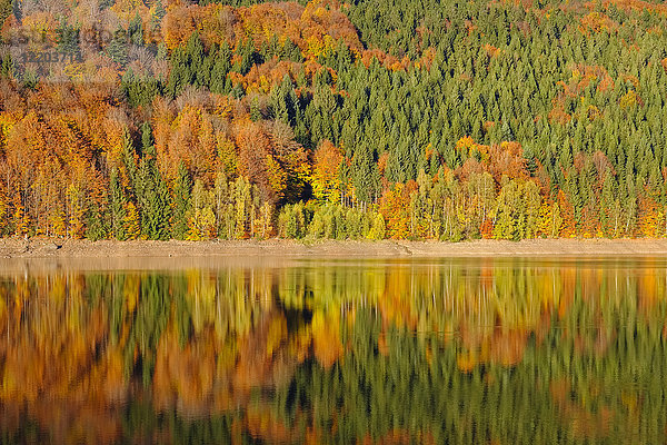 Deutschland  Bayern  Niederbayern  Bayerischer Wald  Naturschutzgebiet Obere Ilz  Ilz im Herbst