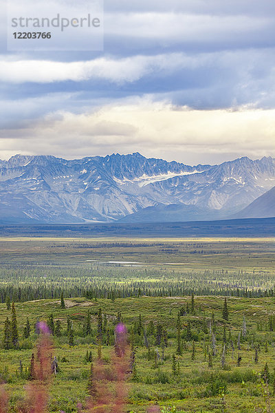 USA  Alaska  Landschaft am Denali Highway