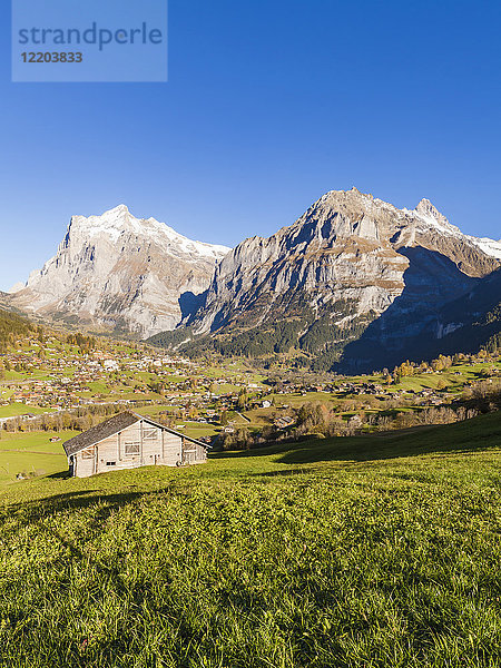 Schweiz  Bern  Berner Oberland  Ferienort Grindelwald  Wetterhorn  Schreckhorn