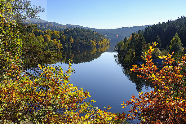 Deutschland  Bayern  Bayerischer Wald  Höllensteinsee  Staudamm am Fluss Regen