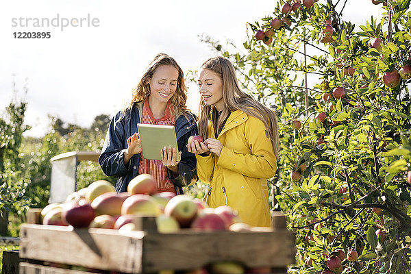 Zwei lächelnde Frauen mit Tablette im Apfelgarten