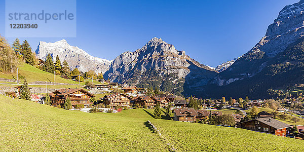 Schweiz  Bern  Berner Oberland  Ferienort Grindelwald  Wetterhorn  Schreckhorn  Eiger