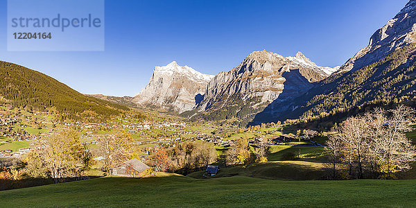 Schweiz  Bern  Berner Oberland  Ferienort Grindelwald  Wetterhorn  Schreckhorn