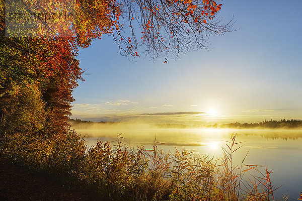 Deutschland  Bayern  Oberbayern  Tölzer Land  Kirchsee bei Sonnenaufgang im Herbst